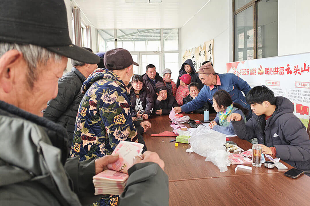 平邑鲁蒙茶业合作社：心系农户 保障民生暖人心